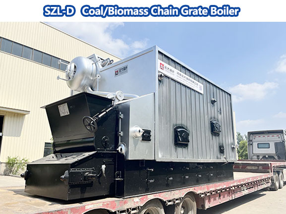 horizontal coal biomass chain grate boiler