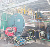 6Ton Heavy Oil Boiler for Fishmeal Factory In Mexico