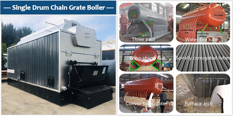 DZL single drum water and fire tube chain grate boiler