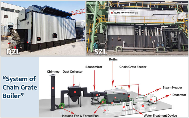 dzl szl chain grate boiler and working system