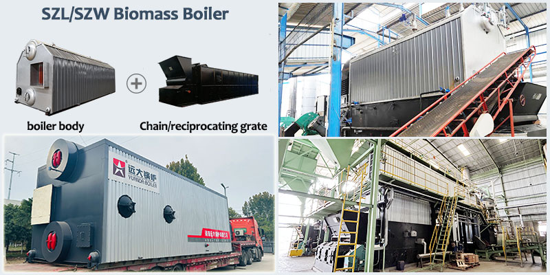 SZL SZW moving grate biomass boiler