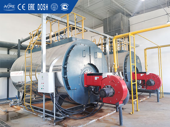 6 ton natural gas steam boiler