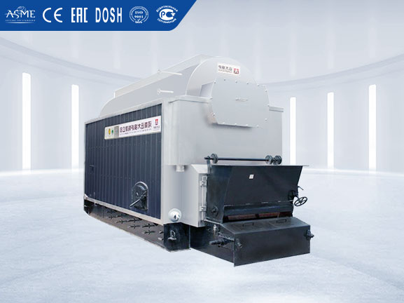 Double Drum Coal Biomass Boiler